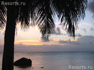 Bankai Orchid Resort 12